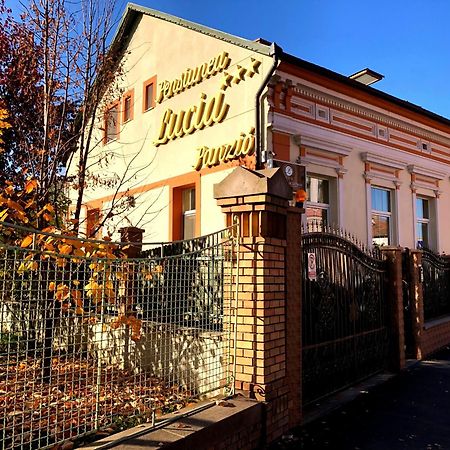 Pensiunea Lucia Sfantu Gheorghe  Exterior photo