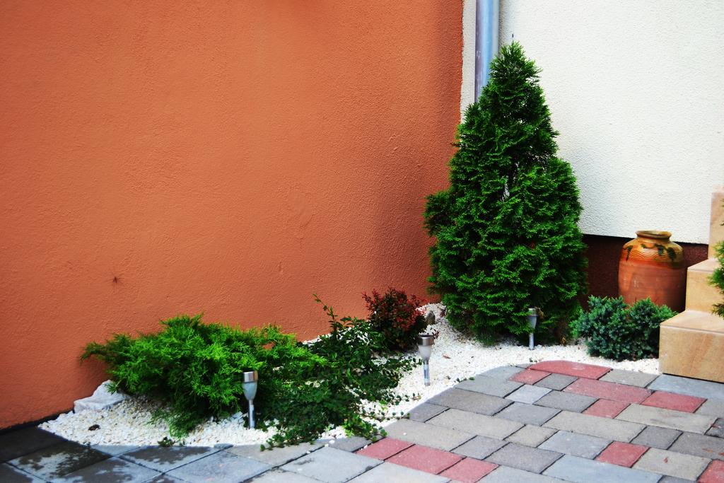 Pensiunea Lucia Sfantu Gheorghe  Exterior photo